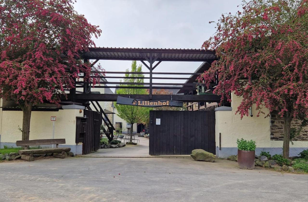 Moderne Ferienwohnung Black Beauty Auf Idyllischem Reiterhof Naehe Burg Eltz Münstermaifeld Zewnętrze zdjęcie